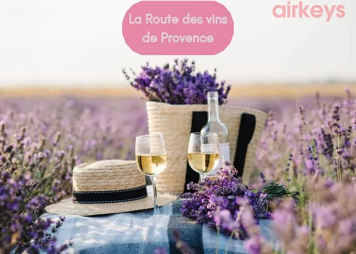 Chateau De La Mere - Evenement - Seminaire - Mariage - Retraite Bien-etre - Sejour Sportif - Cousinade - Ideal Groupe & Famille - Cadre Nature Isole - Piscine - Vue Baie Saint-raphael - Grande Capacite D'accueil Villa